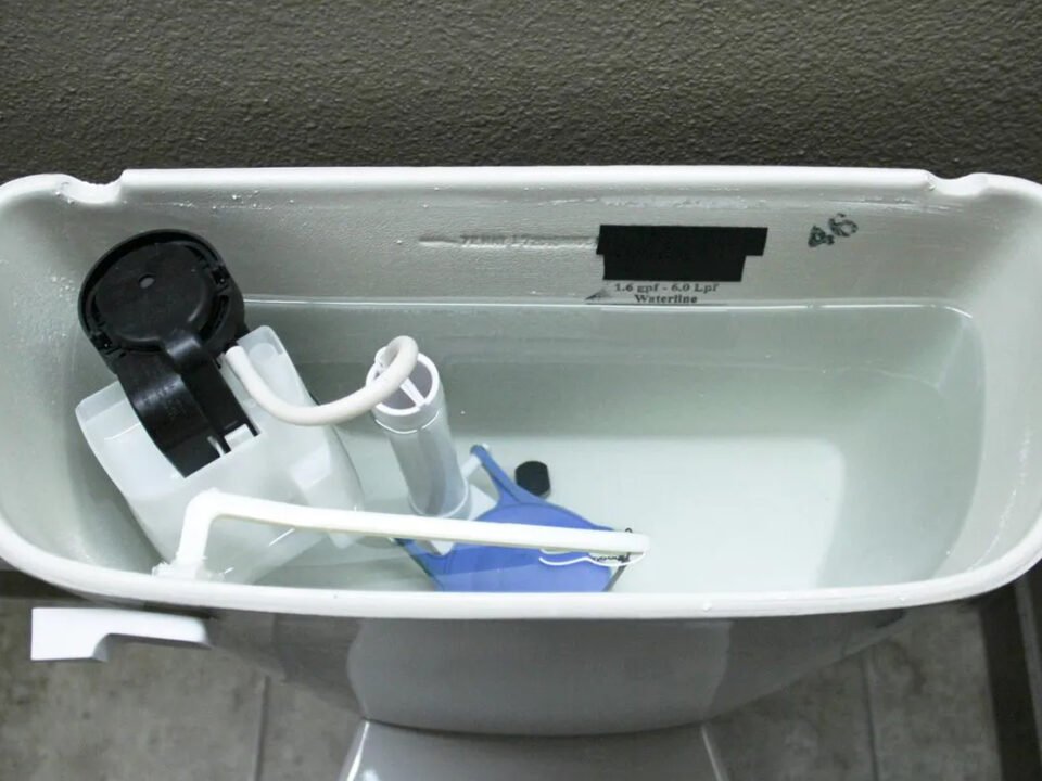 blog img3