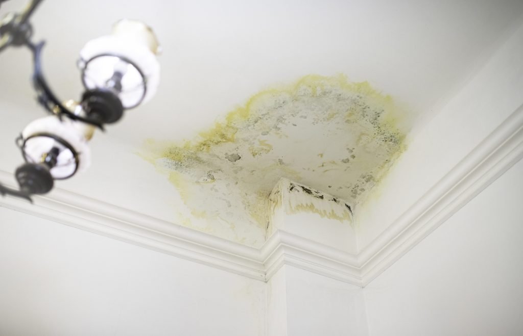 A stain on the ceiling